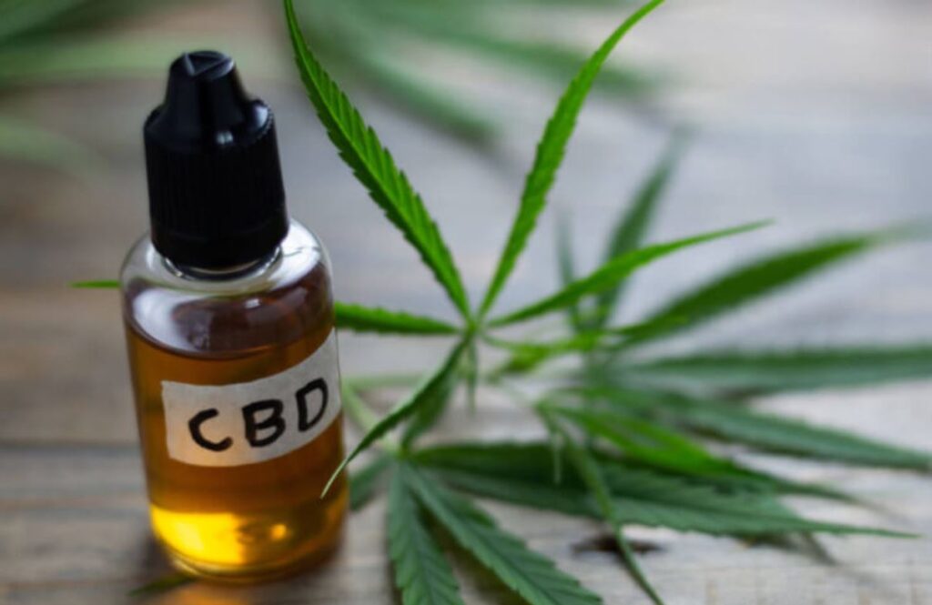 The Power of Cannabidiol: How can CBD Help You?