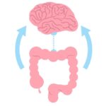 The Gut-Brain Connection: Unlocking the Secret to Mental Health