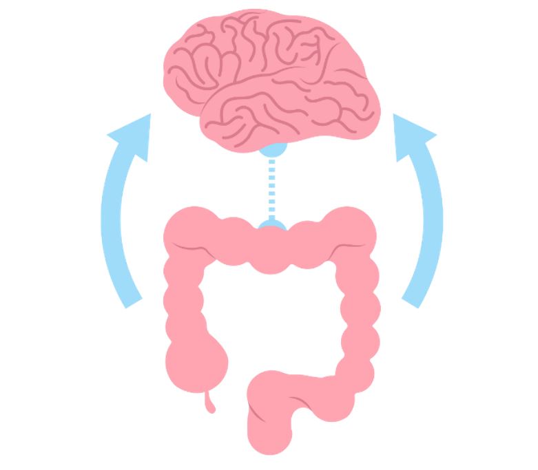 The Gut-Brain Connection: Unlocking the Secret to Mental Health